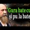 De la IORGA cu Îndrăzneală: Lecții de Viață Legendare